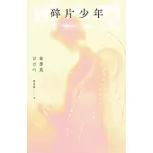 碎片少年 (電子書)