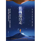 故事沒說完，靈魂還沒走：魂影相隨、幽冥守護、有時驚心有時暖，療癒系通靈人的靈異筆記! (電子書)