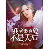 我老婆真的不是天后 (電子書)
