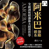 阿米巴激勵體系!全面剖析稻盛和夫經營哲學：薪酬×獎金×股權全解析，從哲學理念到管理技術的全面進化 (有聲書)