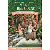 神奇樹屋 第6集Afternoon on the Amazon (Magic Tree House, No. 6)