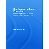 Key Issues In Special Education: Raising Standards Of Pupils’ Attainment And Achievement