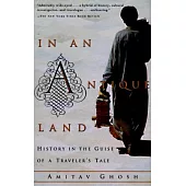 In an Antique Land: History in the Guise of a Traveler’s Tale