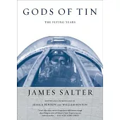 Gods of Tin: The Flying Years