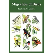 Migration of Birds