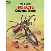 Insects Coloring Book