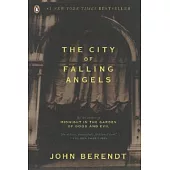 The City of Falling Angels