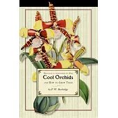 Cool Orchids and How to Grow Them