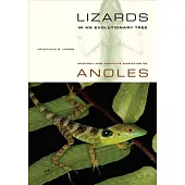 Lizards in an Evolutionary Tree: Ecology and Adaptive Radiation of Anoles