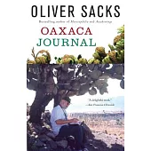 Oaxaca Journal