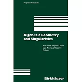 Algebraic Geometry and Singularities