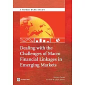 Dealing With the Challenges of Macro Financial Linkages in Emerging Markets