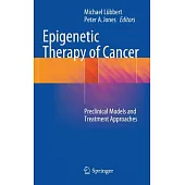 Epigenetic Therapy of Cancer: Preclinical Models and Treatment Approaches