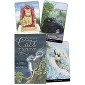 Mystical Cats