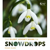 The Plant Lover’s Guide to Snowdrops