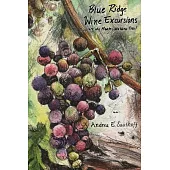 Blue Ridge Wine Excursions