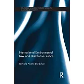 International Environmental Law and Distributive Justice: The Equitable Distribution of CDM Projects Under the Kyoto Protocol