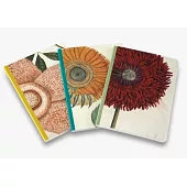 Remarkable Plants: Notebook Set A6