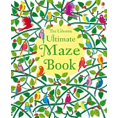 Ultimate Maze Book