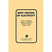 Spot Pricing of Electricity