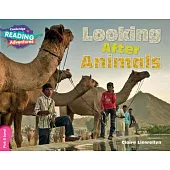 Looking After Animals Pink B Band
