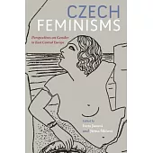 Czech Feminisms: Perspectives on Gender in East Central Europe