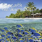 Beneath the Waves 2017 Calendar
