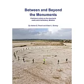 Between and Beyond the Monuments: Prehistoric Activity on the Downlands South-east of Amesbury