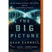The Big Picture: On the Origins of Life, Meaning, and the Universe Itself