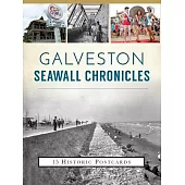 Galveston Seawall Chronicles