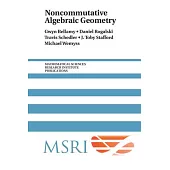 Noncommutative Algebraic Geometry