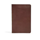 The Holy Bible: Christian Standard Bible, Brown, Leathertouch, Ultrathin Bible