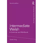 Intermediate Welsh: A Grammar and Workbook