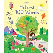 My First 100 Words (Big Books)