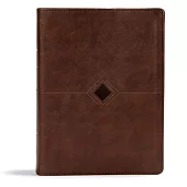 CSB Day-By-Day Chronological Bible, Brown Leathertouch