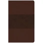 Holy Bible: Christian Standard Bible, Ultrathin Reference Bible, Saddle Brown Leathertouch, Indexed