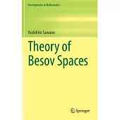 Theory of Besov Spaces