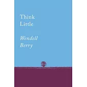 Think Little: Essays