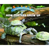 How Turtles Grow Up