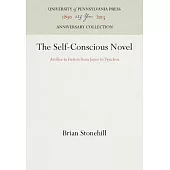 The Self-Conscious Novel