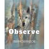 Observe