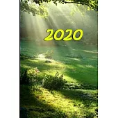 2020 Daily Planner 2020 Heaven’’s Light 384 Pages: 2020 Planners Calendars Organizers Datebooks Appointment Books Agendas