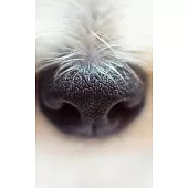 Notebook: nose terrier dog pet animal cute