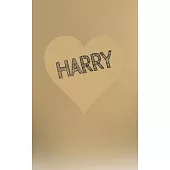 Harry - Folding Coloring Book