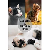 Address & Birthday Book: Large Print - Cat Cover - Address Book for Names, Addresses, Phone Numbers, E-mails and Birthdays