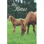 My notes: Foal Notebook, Horse - Size 6