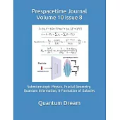 Prespacetime Journal Volume 10 Issue 8: Submicroscopic Physics, Fractal Geometry, Quantum Information, & Formation of Galaxies