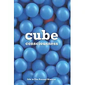 Cube Consciousness: Life In The Present Moment