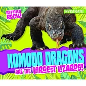 Komodo Dragons Are the Largest Lizards!