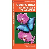 Costa Rica Butterflies & Pollinators: A Folding Pocket Guide to Familiar Species